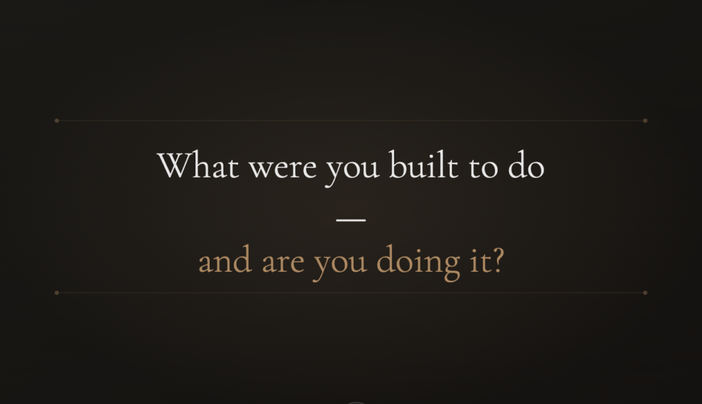 Dark charcoal background with elegant serif text reading: What were you built to do, and are you doing it?